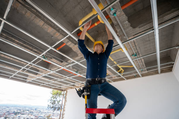 Best Plumbing Inspection Services  in Rupert, ID